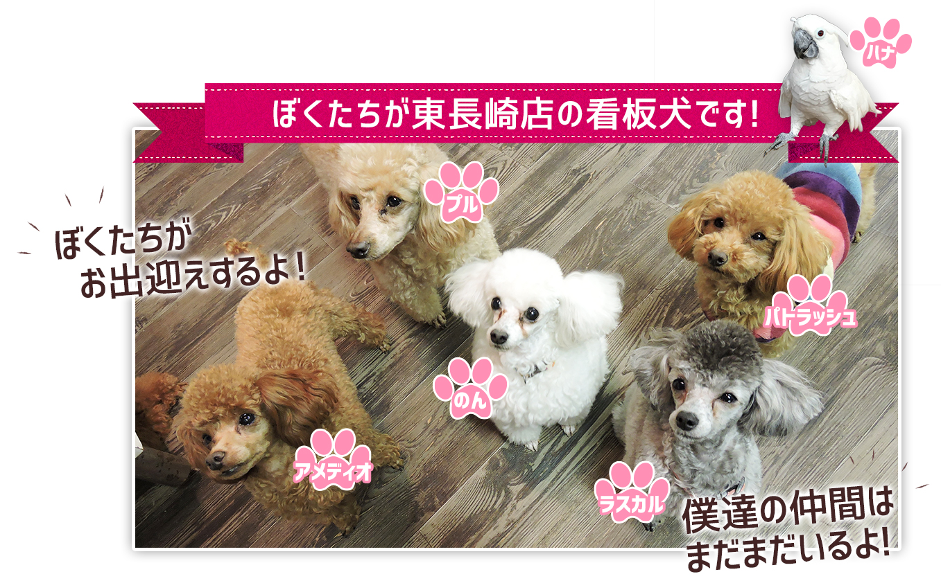 ぼくたちが東長崎店の看板犬です!